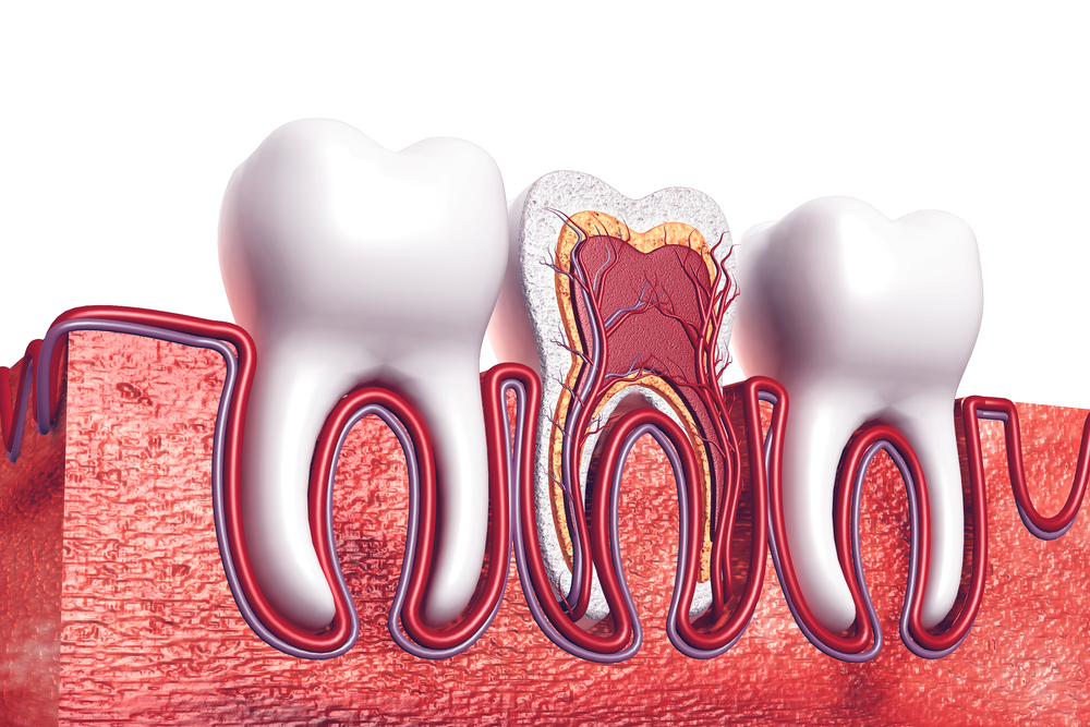 https://ismandental.com/wp-content/uploads/2022/02/Root-Canal-Treatments-Prices.jpg