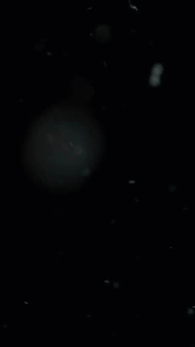 Isman Dental ailesi olarak yılbaşı ruhunu birlikte yaşadık 🎄✨
Gülüşler, kahkahalar ve güzel anılarla dolu bu videoyu ekibimizle birlikte çektik.
Nice güzel anıyı birlikte biriktireceğimiz mutlu bir yıl olsun 🤍
English:
As the Isman Dental family, we shared the New Year spirit together 🎄✨
Filled with smiles, laughter, and beautiful moments, this video reflects our amazing team.
Wishing us a year full of great memories together 🤍